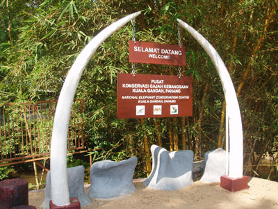 Kuala Gandah Elephant Centre